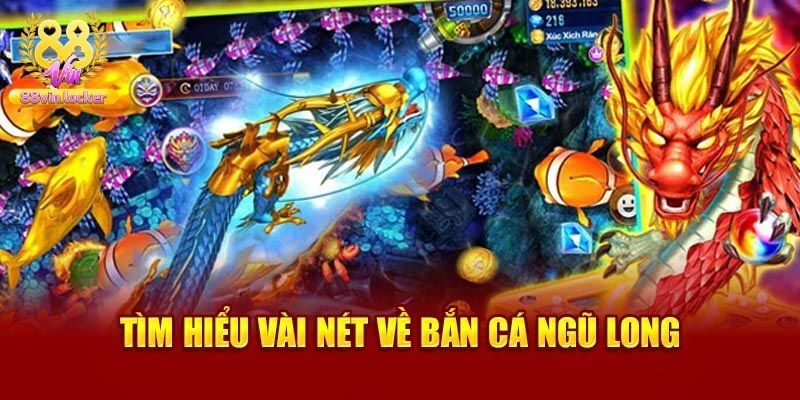 Sơ lược vài nét về bắn cá ngũ long